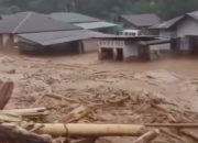 Citra Satelit Bongkar Deforestasi Brutal di Sumut, Walhi: Jangan Kambinghitamkan Cuaca!